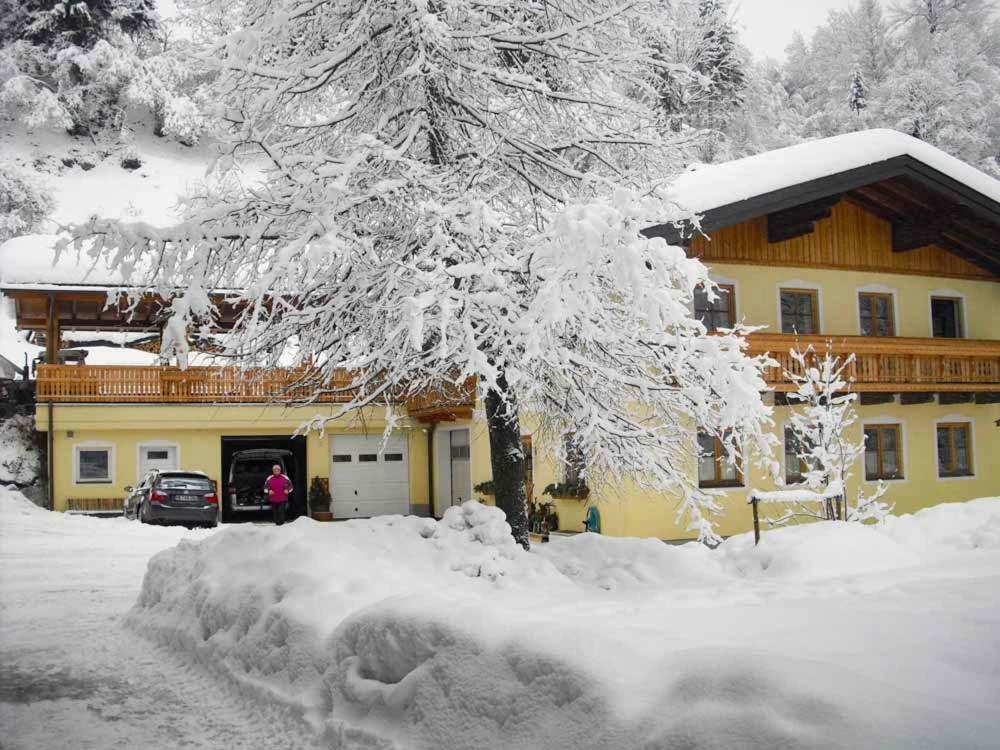 Grubhof Weissenbacher Altenmarkt im Pongau Exteriér fotografie